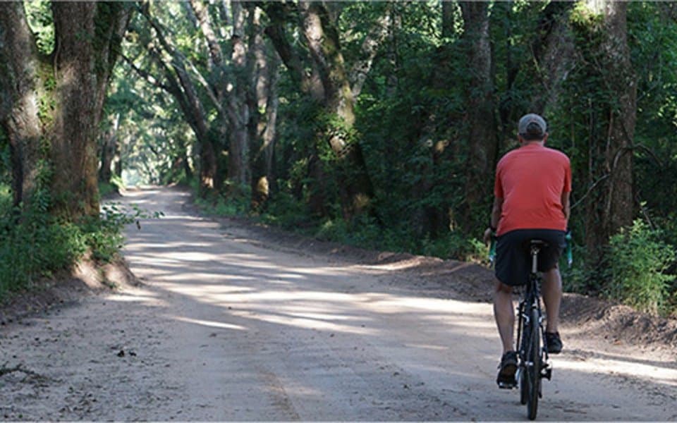 Tall Timbers Research Station & Land Conservancy Tallahassee Times
